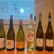 Janv2025 viognier 8