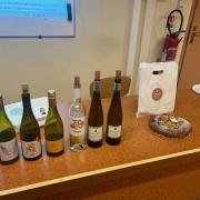 Janv2025 viognier 9
